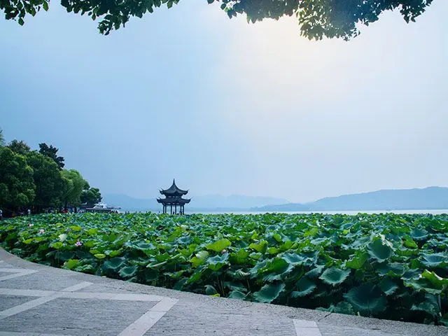 Hangzhou Travel Guide 2026: From Ancient West Lake to Tech Wonderland