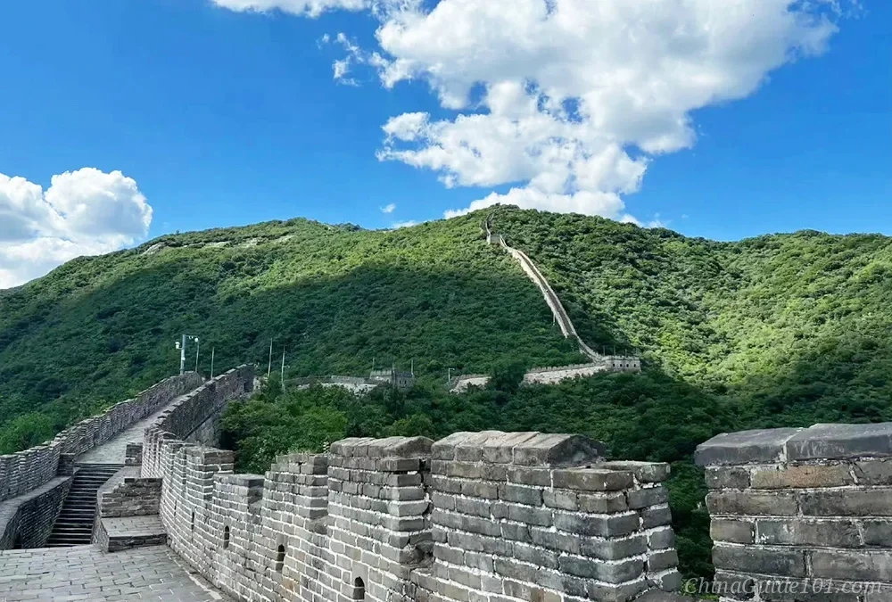 The stone path and brick battlements of the Mutianyu Great Wall extending into the distance, with a remarkably steep section of the wall climbing straight up a lush green mountain ridge under a vibrant blue sky with fluffy white clouds.