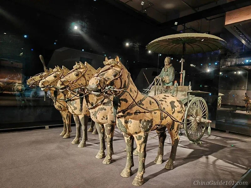 An ancient Chinese bronze chariot and horses artifact displayed inside a museum, featuring four life-sized bronze horses pulling a covered carriage driven by a charioteer figurine under a large umbrella