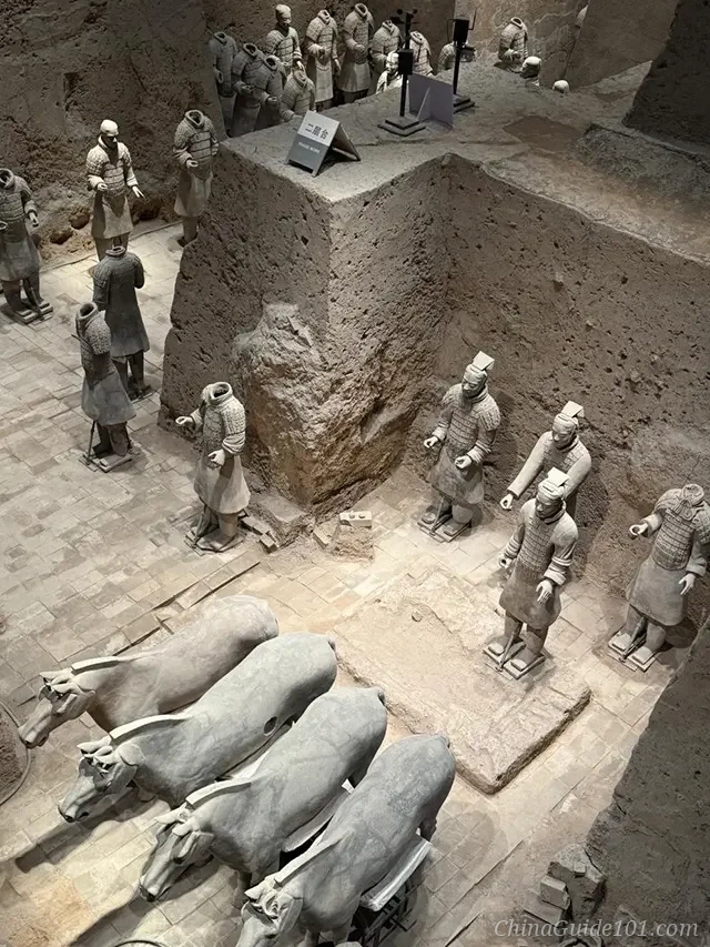 An overhead view of the excavation site inside Pit 3 of the Terracotta Army, featuring four terracotta chariot horses standing in a row and several guardian warrior statues arranged on the paved floor around an earthen ledge labeled with a museum sign