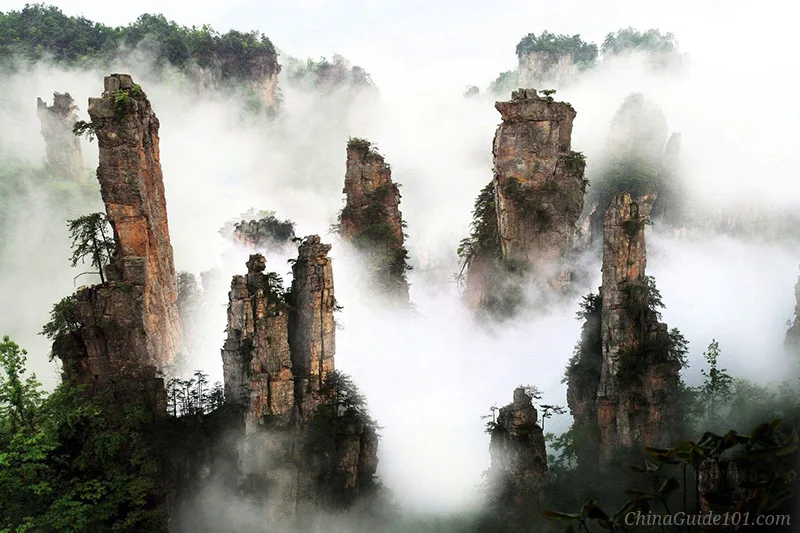 owering quartz-sandstone pillars and steep rock spires rising through a dense sea of white fog and mist. Green trees and vegetation cling to the crevices and tops of the dramatic cliffs, creating a surreal, floating mountain landscape