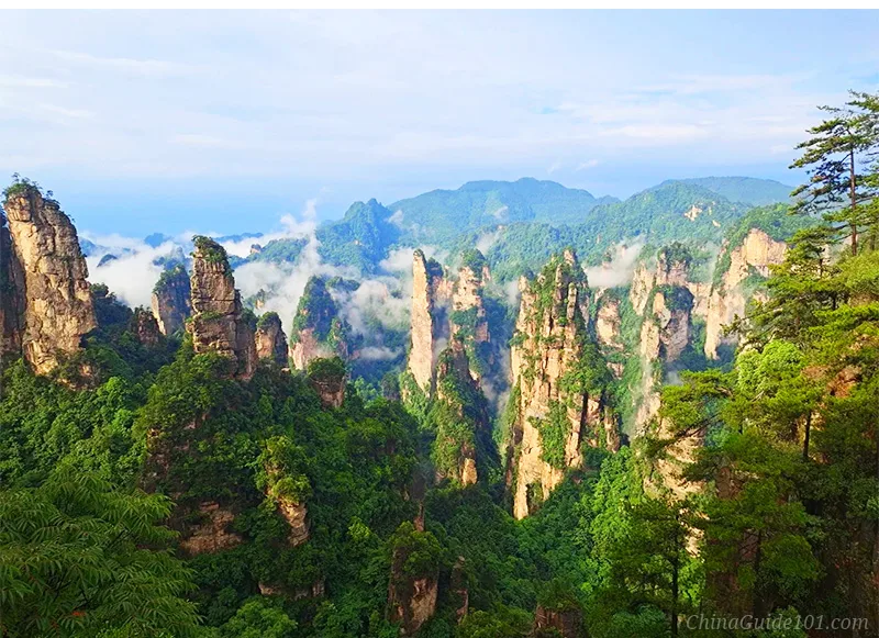 A breathtaking panoramic view from an elevated viewpoint looking over a vast canyon of towering quartzite sandstone pillars and flat-topped mesas. Layered mountain ridges stretch into the hazy distance under a bright sky, with dense green vegetation covering the valley floor and cliff edges.